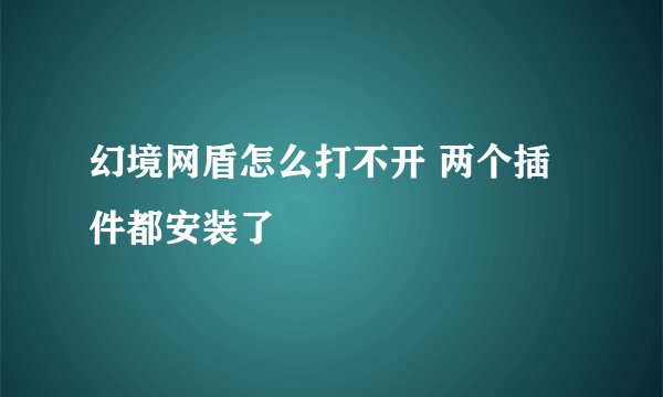 幻境网盾怎么打不开 两个插件都安装了