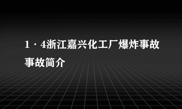 1·4浙江嘉兴化工厂爆炸事故事故简介