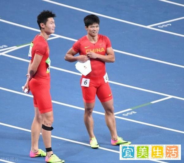 张培萌清华大学教师职位恐不保,独抢苏炳添功绩五年
