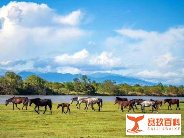 伊犁疫情不影响新疆旅游