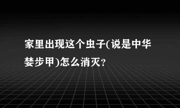 家里出现这个虫子(说是中华婪步甲)怎么消灭?