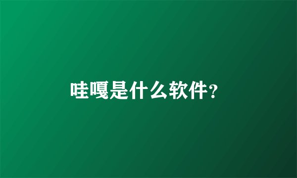 哇嘎是什么软件？