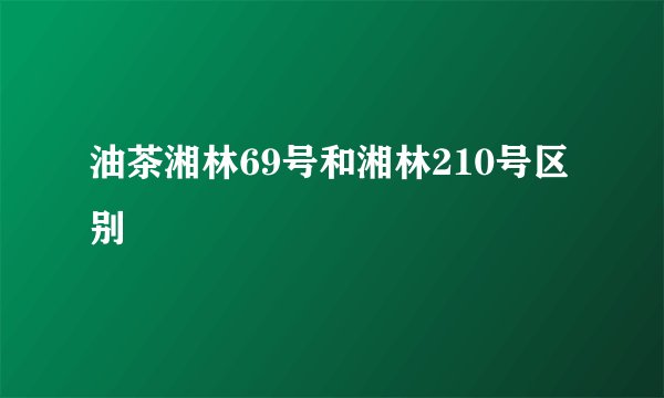 油茶湘林69号和湘林210号区别