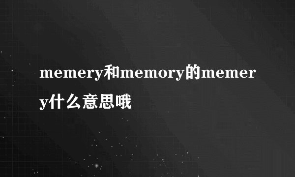 memery和memory的memery什么意思哦