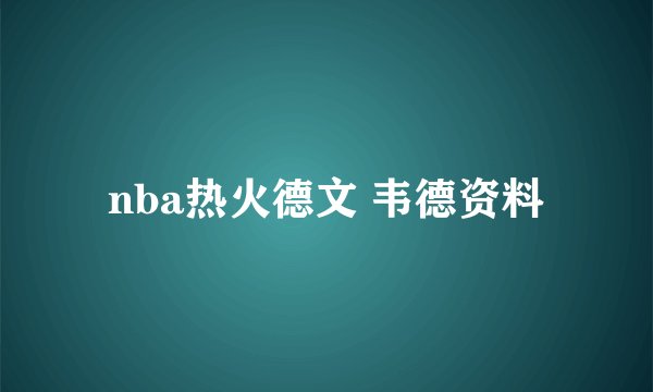 nba热火德文 韦德资料