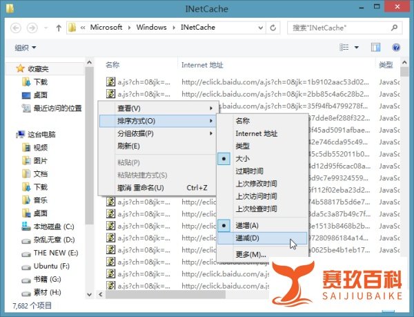 如何提取IE缓存文件