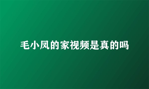 毛小凤的家视频是真的吗