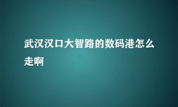 武汉汉口大智路的数码港怎么走啊
