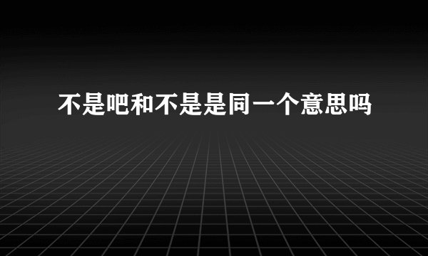 不是吧和不是是同一个意思吗