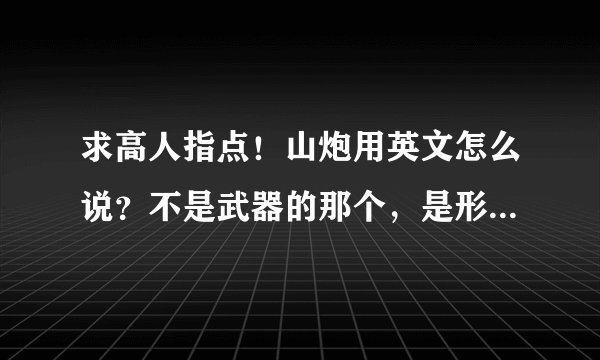 求高人指点！山炮用英文怎么说？不是武器的那个，是形容人死板的那个。