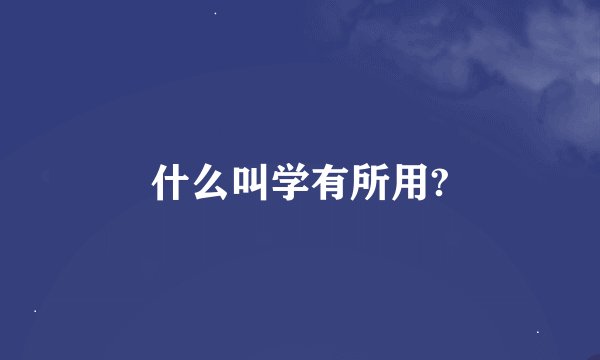 什么叫学有所用?
