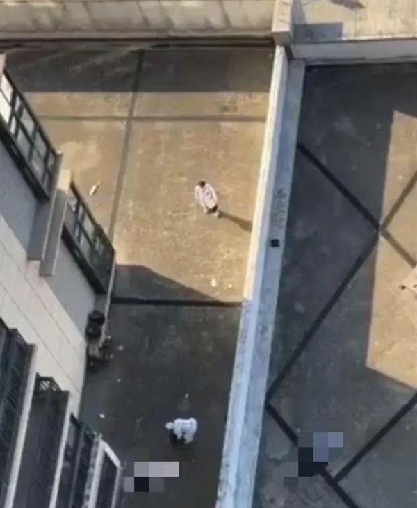 突发！90后夫妻先后坠楼身亡，相隔仅5小时…