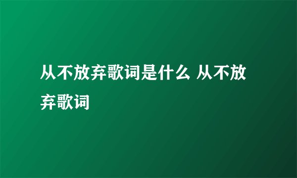 从不放弃歌词是什么 从不放弃歌词