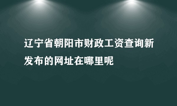 辽宁省朝阳市财政工资查询新发布的网址在哪里呢