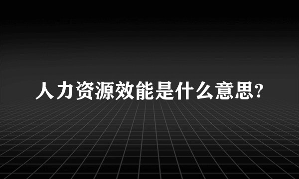 人力资源效能是什么意思?