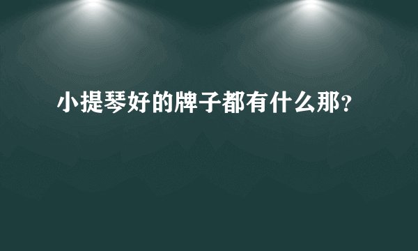 小提琴好的牌子都有什么那？