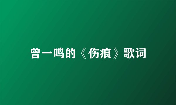 曾一鸣的《伤痕》歌词