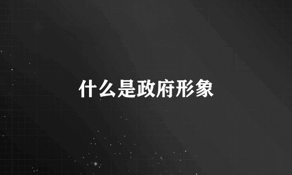 什么是政府形象