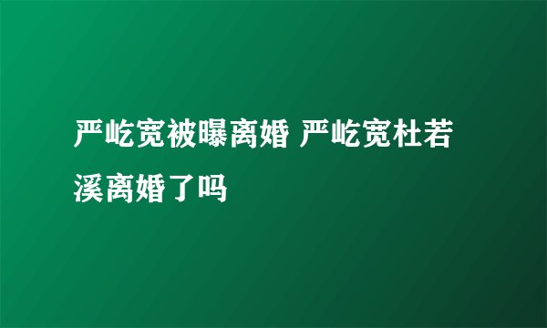 严屹宽被曝离婚 严屹宽杜若溪离婚了吗