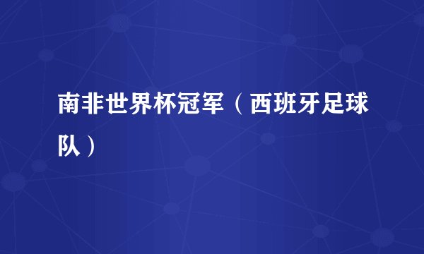 南非世界杯冠军（西班牙足球队）