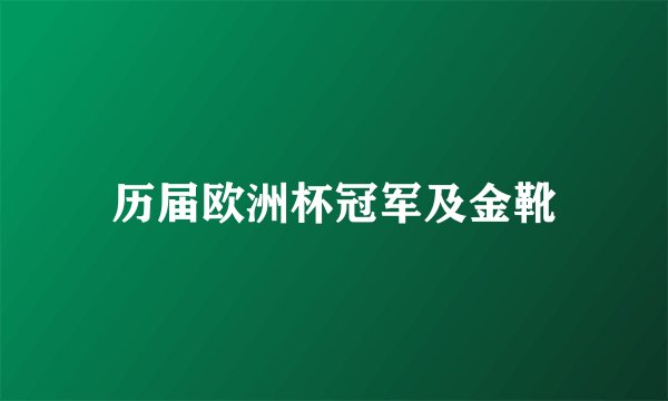 历届欧洲杯冠军及金靴
