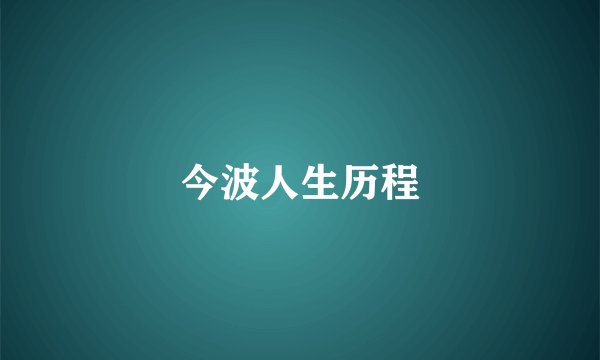 今波人生历程