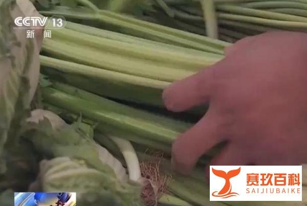 夫妻俩卖20元芹菜被罚6万6，案值百余元罚款好几万合适吗？