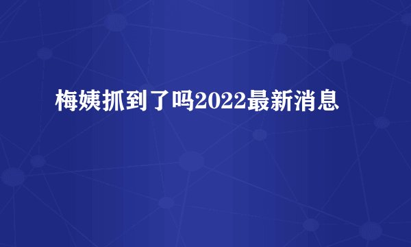 梅姨抓到了吗2022最新消息