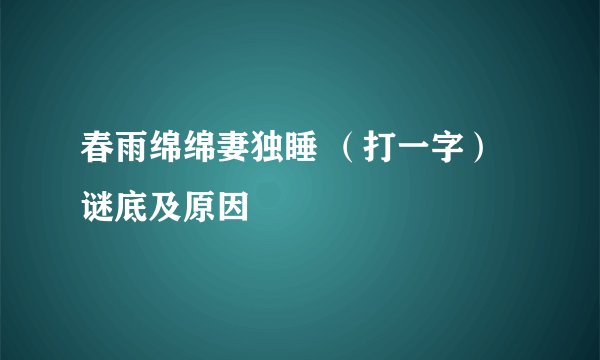 春雨绵绵妻独睡 （打一字）谜底及原因