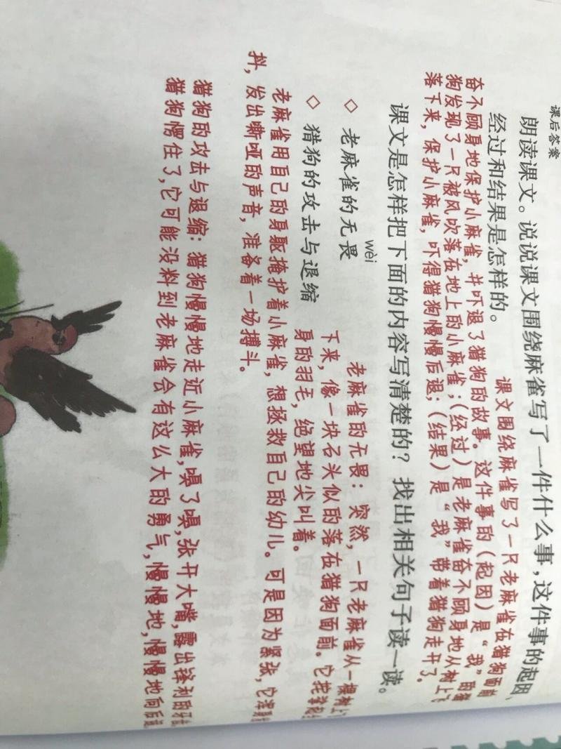 洞庭湖的老麻雀什么意思，洞庭湖里的老麻雀意思