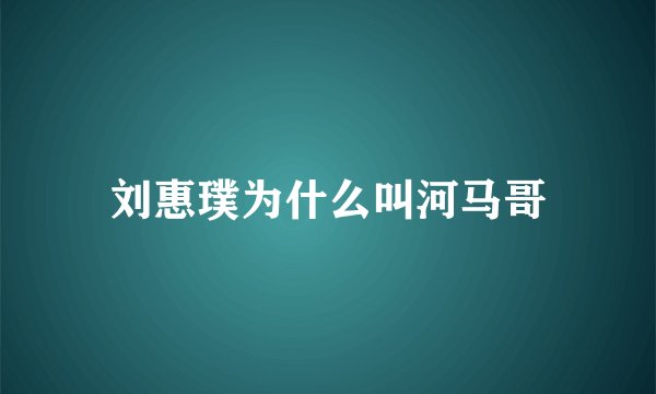 刘惠璞为什么叫河马哥