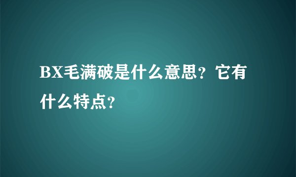 BX毛满破是什么意思？它有什么特点？