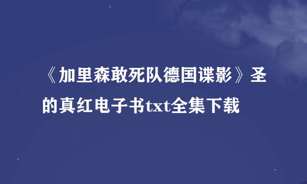 《加里森敢死队德国谍影》圣的真红电子书txt全集下载