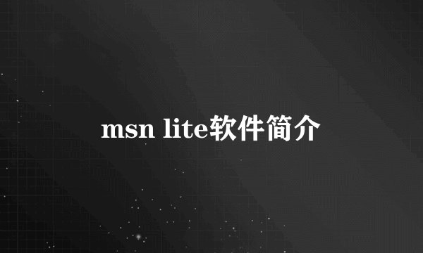 msn lite软件简介