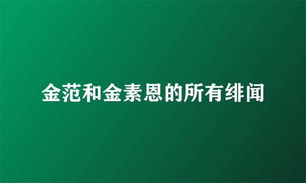 金范和金素恩的所有绯闻