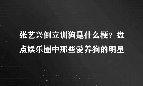 张艺兴倒立训狗是什么梗？盘点娱乐圈中那些爱养狗的明星