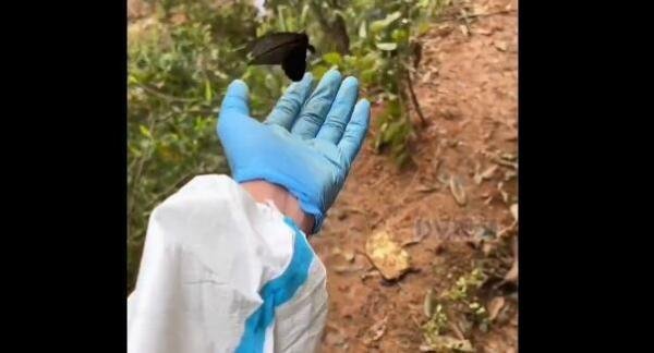 广西消防驻地满是鲜花！满满的都是网友的一片心意！