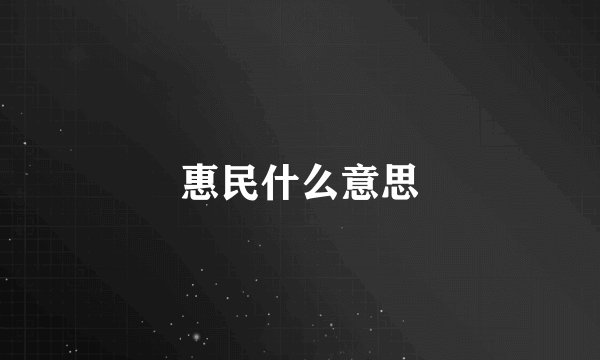 惠民什么意思