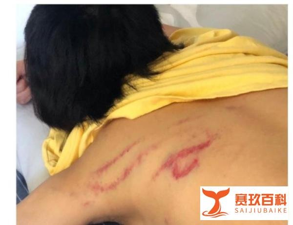 明日之子张嫮目家暴,被女友列出七宗罪,私下竟是这么变态