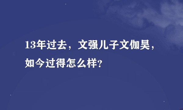 13年过去，文强儿子文伽昊，如今过得怎么样？