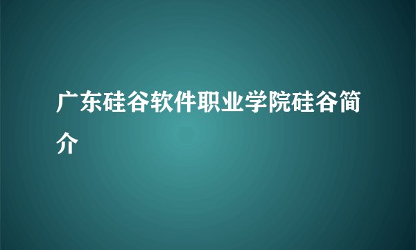 广东硅谷软件职业学院硅谷简介