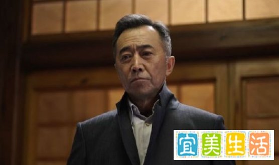 扫黑风暴王政什么级别