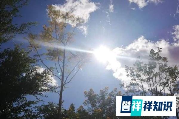 2022年哪天入伏?俗语“公伏凶,母伏爽”,今年是公伏还是母伏?