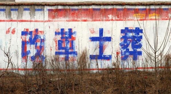 你如何看待村民葬后遗体被抢 镇长：违规土葬？