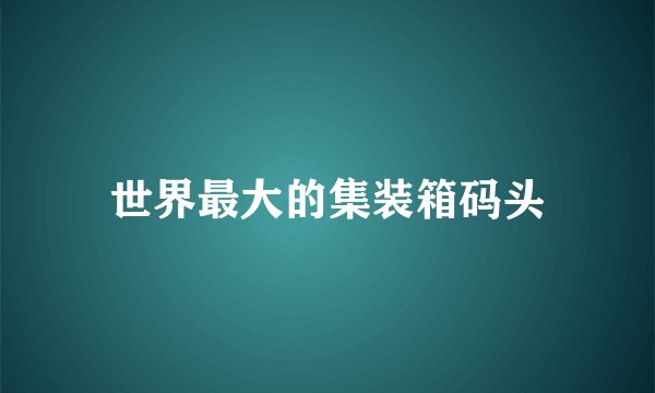 世界最大的集装箱码头