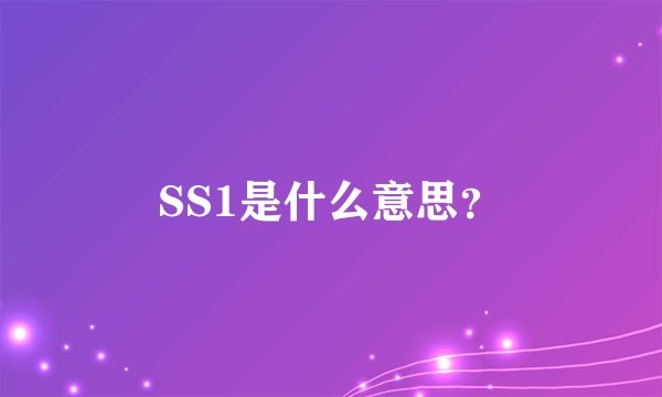 SS1是什么意思？