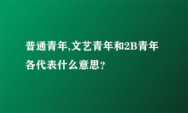 普通青年,文艺青年和2B青年各代表什么意思?