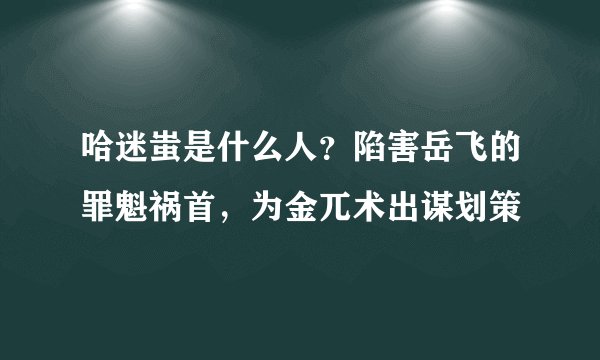 哈迷蚩是什么人？陷害岳飞的罪魁祸首，为金兀术出谋划策