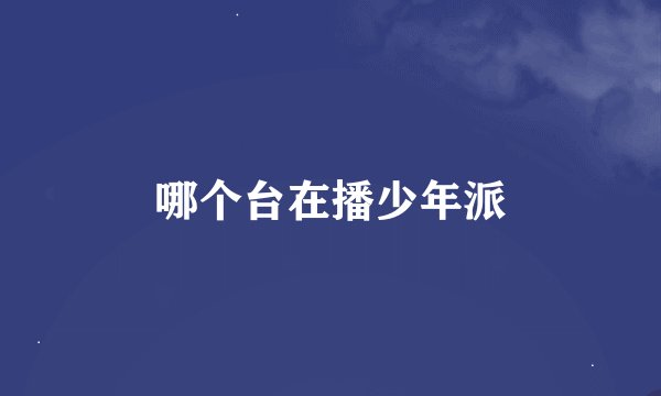 哪个台在播少年派