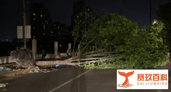 江苏14级大风 这是咋情况？